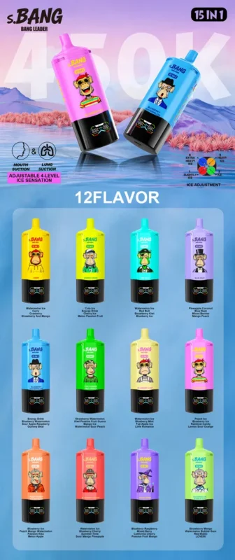 Présentation de la gamme de saveurs 15-en-1 du Bang Leader 450 000 bouffées – Guide de sélection des 12 combinaisons de saveurs