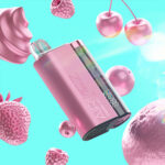 Présentoir pour vapoteuse jetable Airmez B20 20 000 bouffées - 100vaping