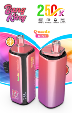 Bang King 250 000 bouffées 4-en-1 Citron-citron vert, Pastèque, Glace, Glace noire, Fruit du dragon, Fraise, Love 66 - 100vaping