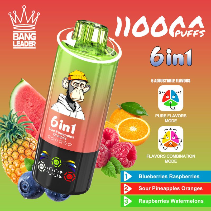 Bang Leader 110 000 bouffées 6-en-1 : saveurs myrtilles, framboises, ananas acidulé, oranges, framboises et pastèques - 100vaping