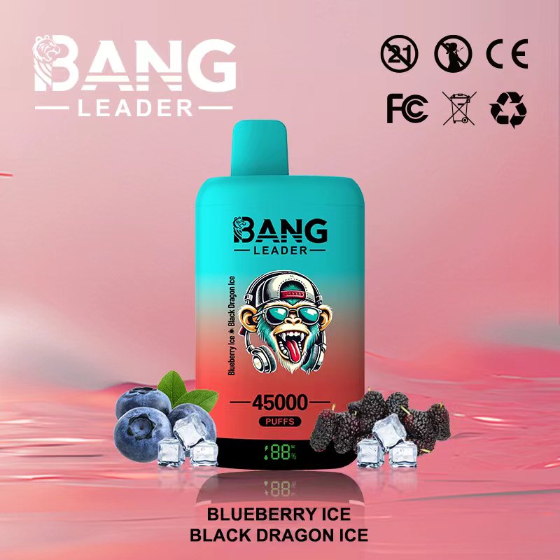 Bang Leader 45 000 bouffées, saveur Blueberry Ice et Black Dragon Ice, cigarette électronique jetable - 100vaping