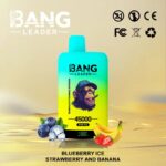 Bang Leader 45K Puffs Blueberry Ice Strawberry Banana Flavor Disposable Vape - 100vaping