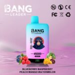 Bang Leader 45K Puffs Blueberry Raspberry Peach Mango Watermelon Flavor Disposable Vape - 100vaping