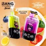 Bang Leader Stoll 120 000 bouffées - Image principale : vapoteuse jetable à double saveur - 100vaping