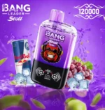Bang Leader Stoll 120K Puffs Red Energy Grape Ice Flavor - 100vaping