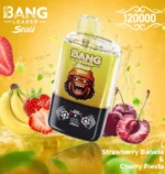 Bang Leader Stoll 120K Puffs Strawberry Banana Cherry Piesta Flavor - 100vaping