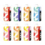 ELF BAR Sweet King 30 000 bouffées – Liste des saveurs « Aiguilles de pin et menthe » - 100vaping