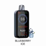 HIFANCY LUXURY BOX - Cigarette électronique jetable 18 000 bouffées, saveur « Blueberry Ice » - 100vaping