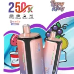 Bang King 250 000 bouffées – Cigarette électronique jetable 4-en-1 rechargeable
