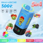 Bang DE 300K Puffs 5-in-1 Blueberry Raspberry Black Dragon Ice Rainbow Candy Strawberry Kiwi Watermelon Sour Peach Flavor - 100vaping