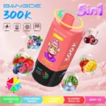 Bang DE 300K Puffs 5-in-1 Watermelon Ice Strawberry Mango California Cherry Blueberry Peach Ice Berry Ice Flavor - 100vaping