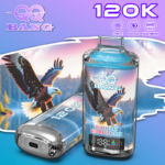 QQ Bang – Cigarette électronique jetable 120 000 bouffées, saveur myrtille-framboise – 100vaping
