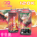 QQ Bang - Cigarette électronique jetable 120 000 bouffées, saveur « Cherry Watermelon Freeze » - 100vaping