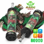 QQ Bang Shisha : cigarette électronique jetable à la saveur double pomme, 80 000 bouffées - 100vaping