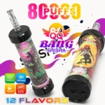 QQ Bang Shisha 80 000 bouffées – Cigarette électronique jetable – Image principale - 100vaping