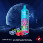Vape jetable RandM Tornado 9000 bouffées, saveur myrtille-framboise - 100vaping