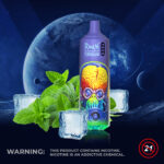 Vape jetable RandM Tornado 9000 bouffées, saveur menthe fraîche - 100vaping