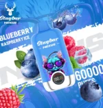 Vape jetable Stagbar Nexus 60 000 bouffées, saveur myrtille-framboise glacée - 100vaping