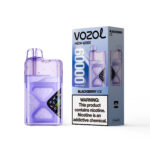 VOZOL NEON 60 000 bouffées, e-cigarette jetable au goût « Blackberry Ice » - 100vaping