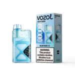VOZOL NEON 60 000 bouffées, saveur Blue Razz Ice, cigarette électronique jetable - 100vaping