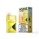 VOZOL NEON 60 000 bouffées, saveur « Pineapple Ice », cigarette électronique jetable - 100vaping