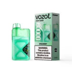 VOZOL NEON 60 000 bouffées, saveur menthe verte, cigarette électronique jetable - 100vaping