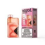 VOZOL NEON 60 000 bouffées, saveur fraise-pastèque, cigarette électronique jetable - 100vaping