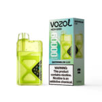 VOZOL NEON 60 000 bouffées, e-cigarette jetable à la saveur de pastille de pastèque - 100vaping