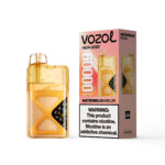 VOZOL NEON 60 000 bouffées, saveur pastèque-melon, cigarette électronique jetable - 100vaping
