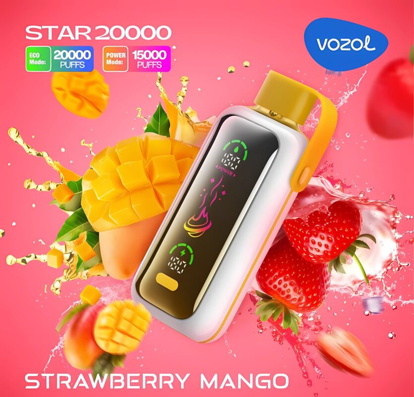 VOZOL STAR 20000 Disposable Vape Product image 2