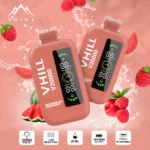 VHILL 20 000 bouffées – Cigarette électronique jetable à la pastèque et à la framboise