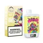 VHILL TWINS 60 000 bouffées – Black Ice, fruit du dragon, fraise, framboise, pastèque – Cigarette électronique jetable