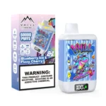 VHILL TWINS 60 000 bouffées – Vape jetable aux saveurs « Blueberry Ice » et « Fizzy Cherry »