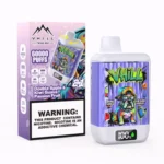 VHILL TWINS 60 000 bouffées – Cigarette électronique jetable « Double pomme, kiwi, goyave et fruit de la passion »