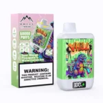 VHILL TWINS 60 000 bouffées – Mangue acidulée, ananas, pastèque et glace – Cigarette électronique jetable