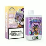 VHILL TWINS 60 000 bouffées – Cigarette électronique jetable « Triple Mango Grape Energy »